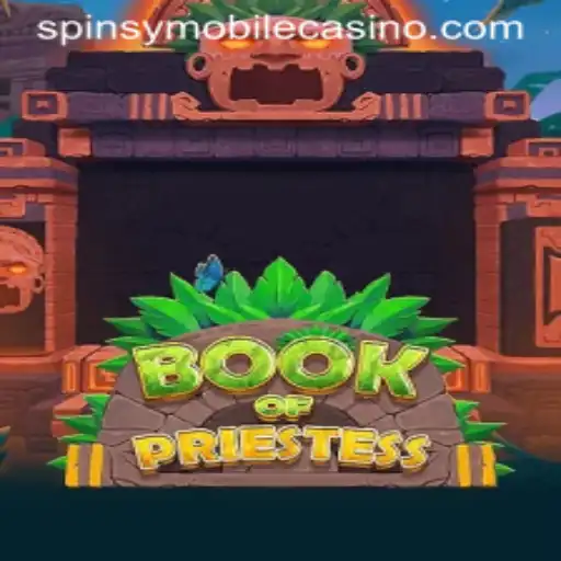 Exploring the Mystical World of BookOfPriestess at Spinsy Casino